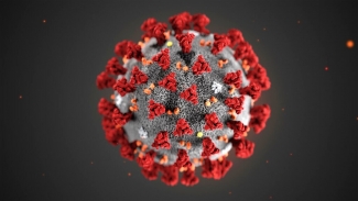 Hotel e coronavirus raccolta dati