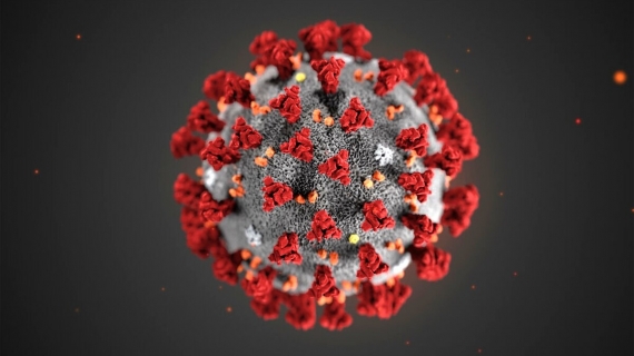 Hotel e coronavirus raccolta dati